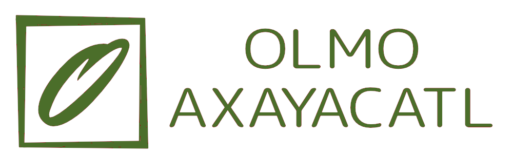 Cultivo Maíz